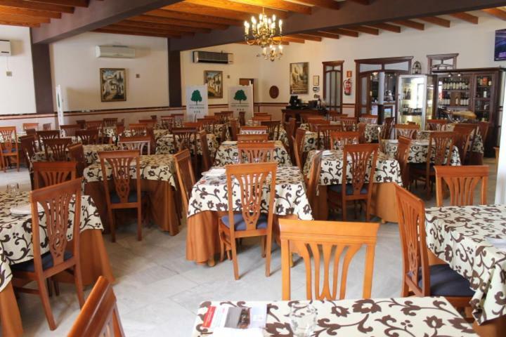 La Palmosa 3* Alcala de los Gazules